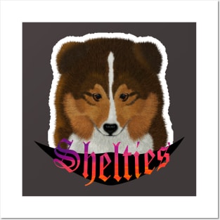 Sheltie Pup Posters and Art